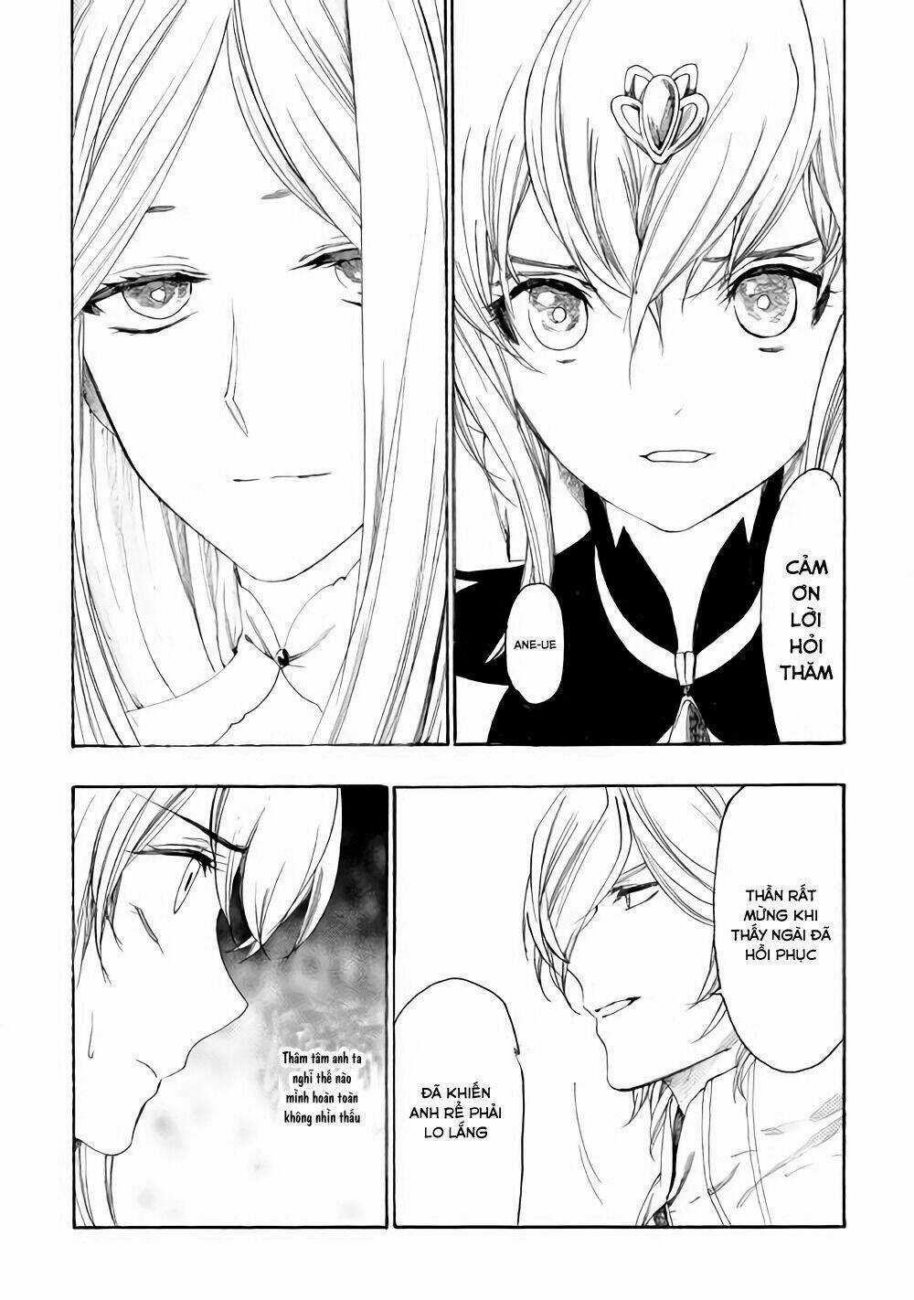 Almadianos Eiyuuden Chapter 8 trang 11