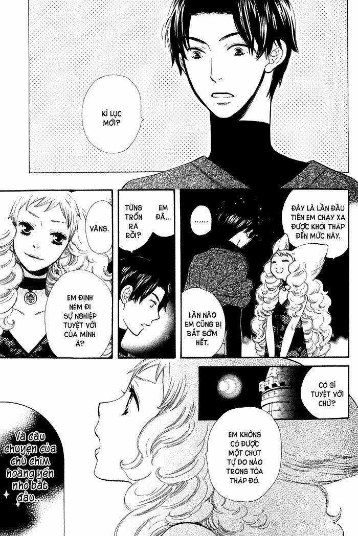 Alone In My King's Harem Chapter 4 trang 11