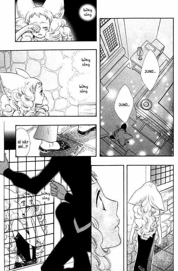 Alone In My King's Harem Chapter 4 trang 21