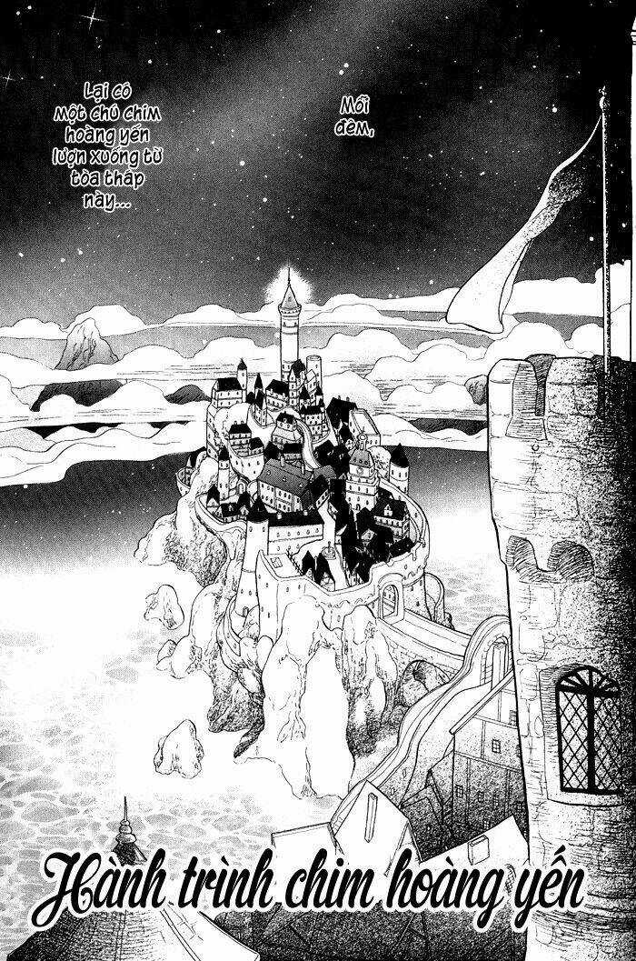 Alone In My King's Harem Chapter 4 trang 3