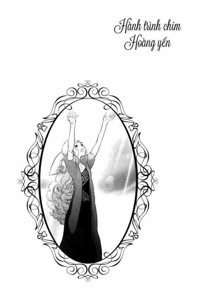 Alone In My King's Harem Chapter 4 trang 42