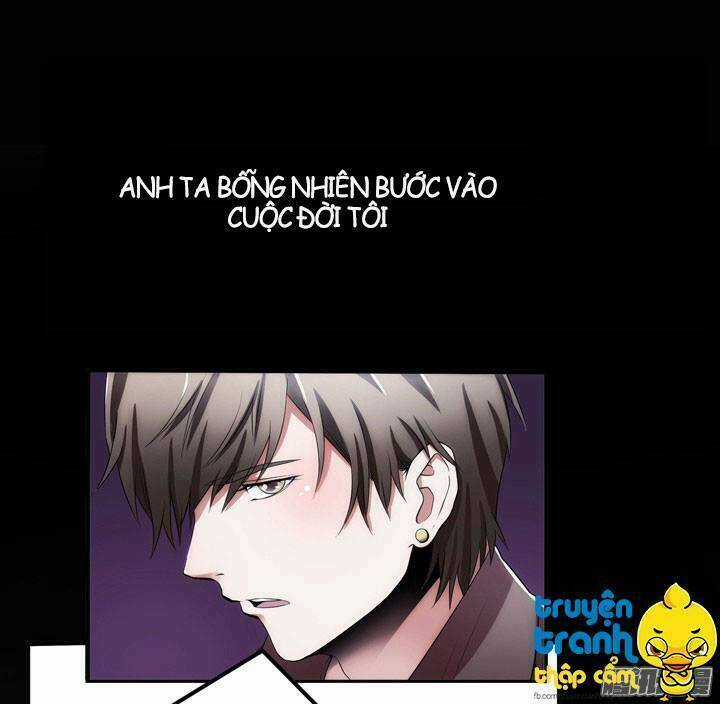 Âm Mưu Bên Gối Chapter 5 trang 5