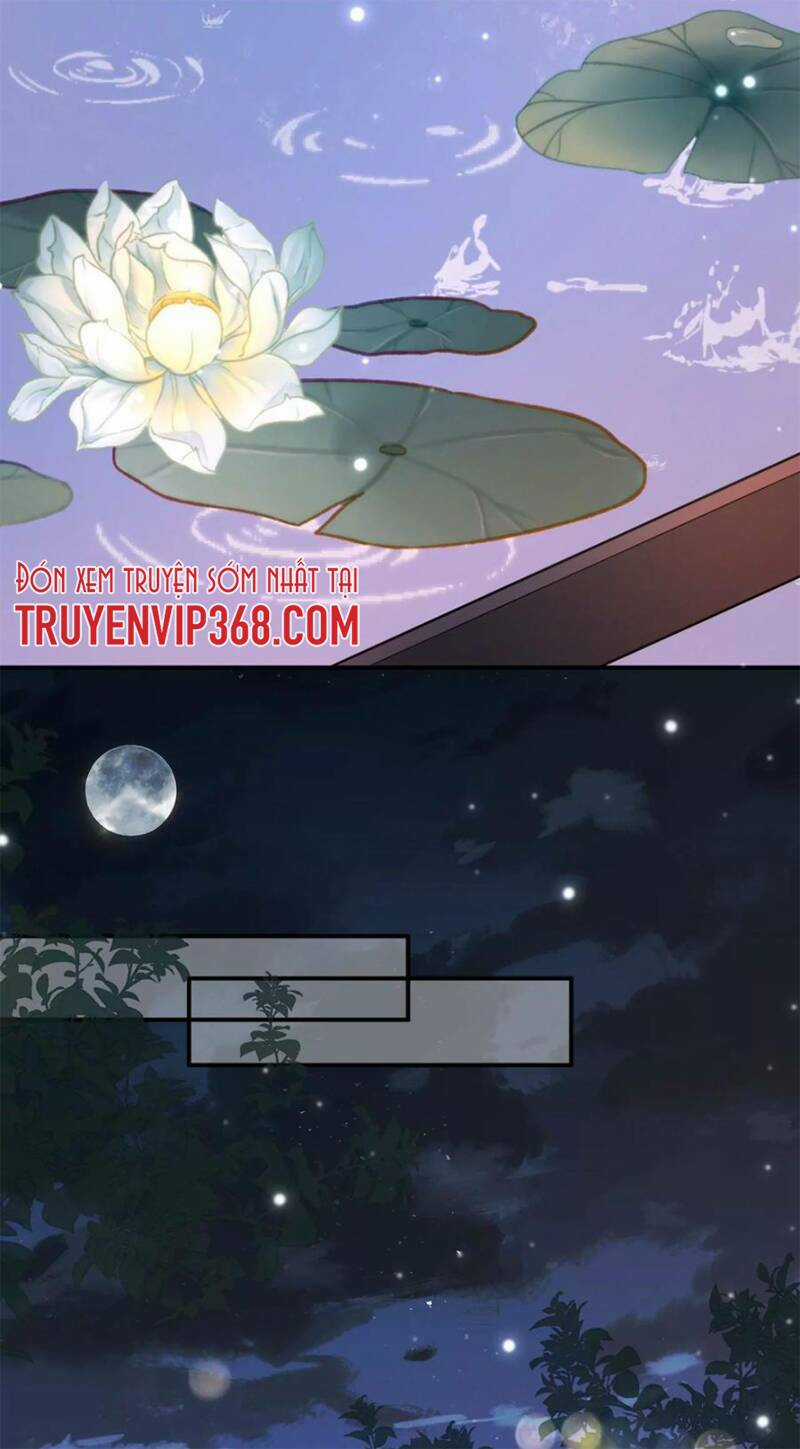 Ám Sát Nữ Hoàng Bệ Hạ Chapter 1 trang 17