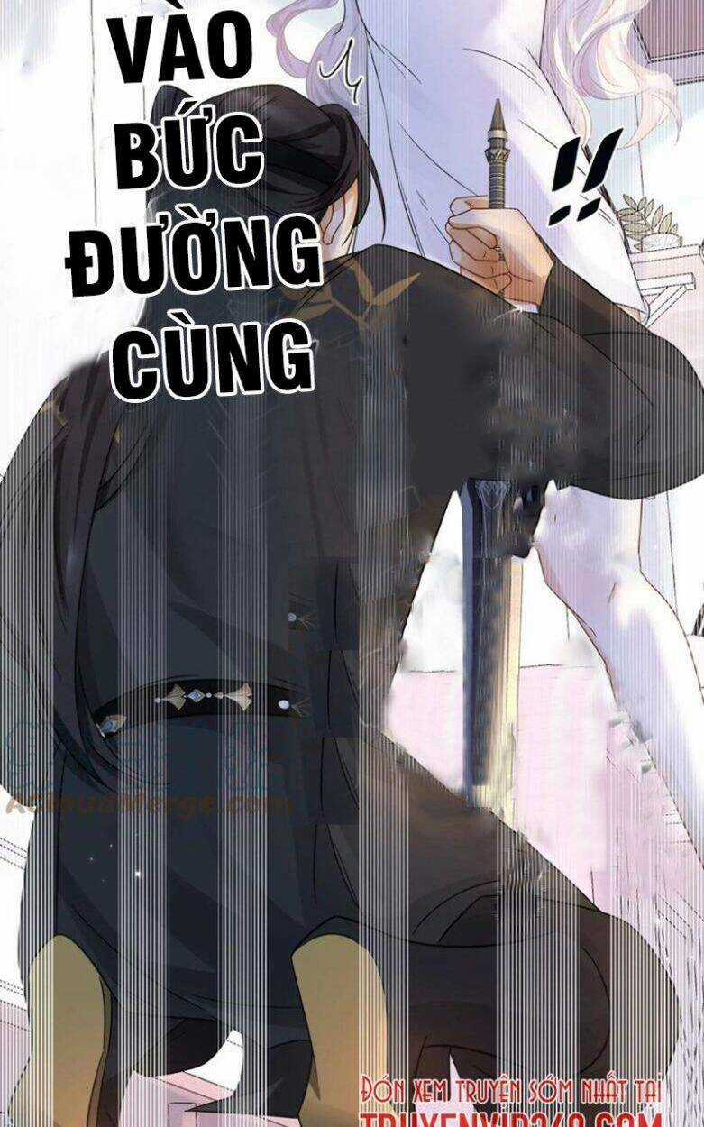 Ám Sát Nữ Hoàng Bệ Hạ Chapter 2 trang 10