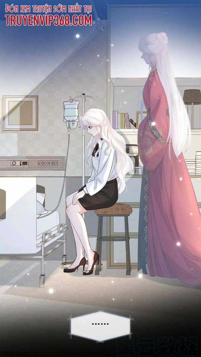 Ám Sát Nữ Hoàng Bệ Hạ Chapter 4 trang 24