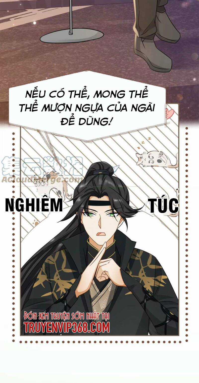 Ám Sát Nữ Hoàng Bệ Hạ Chapter 7 trang 19