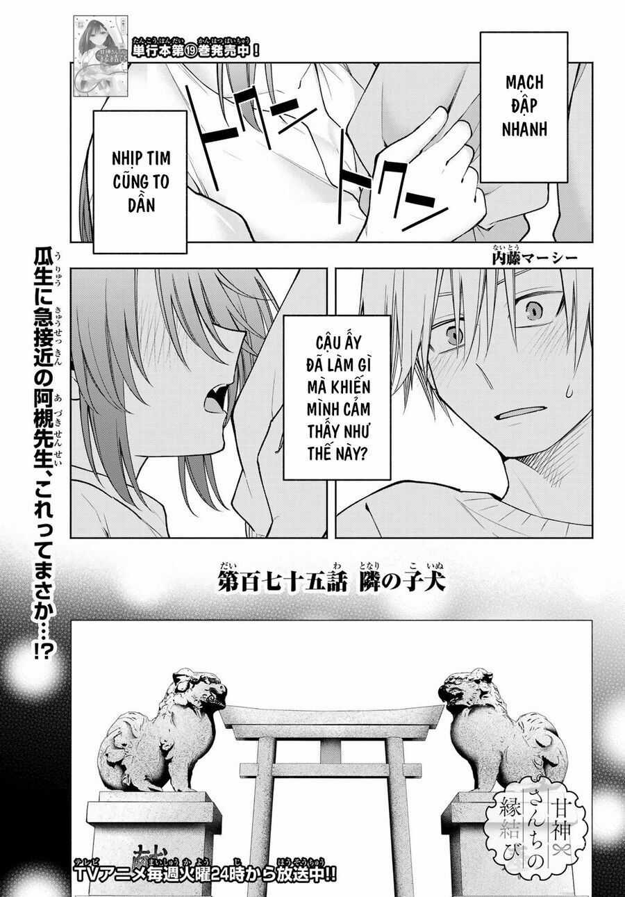 Amagami-San Chi No Enmusubi! Chương 175 trang 2