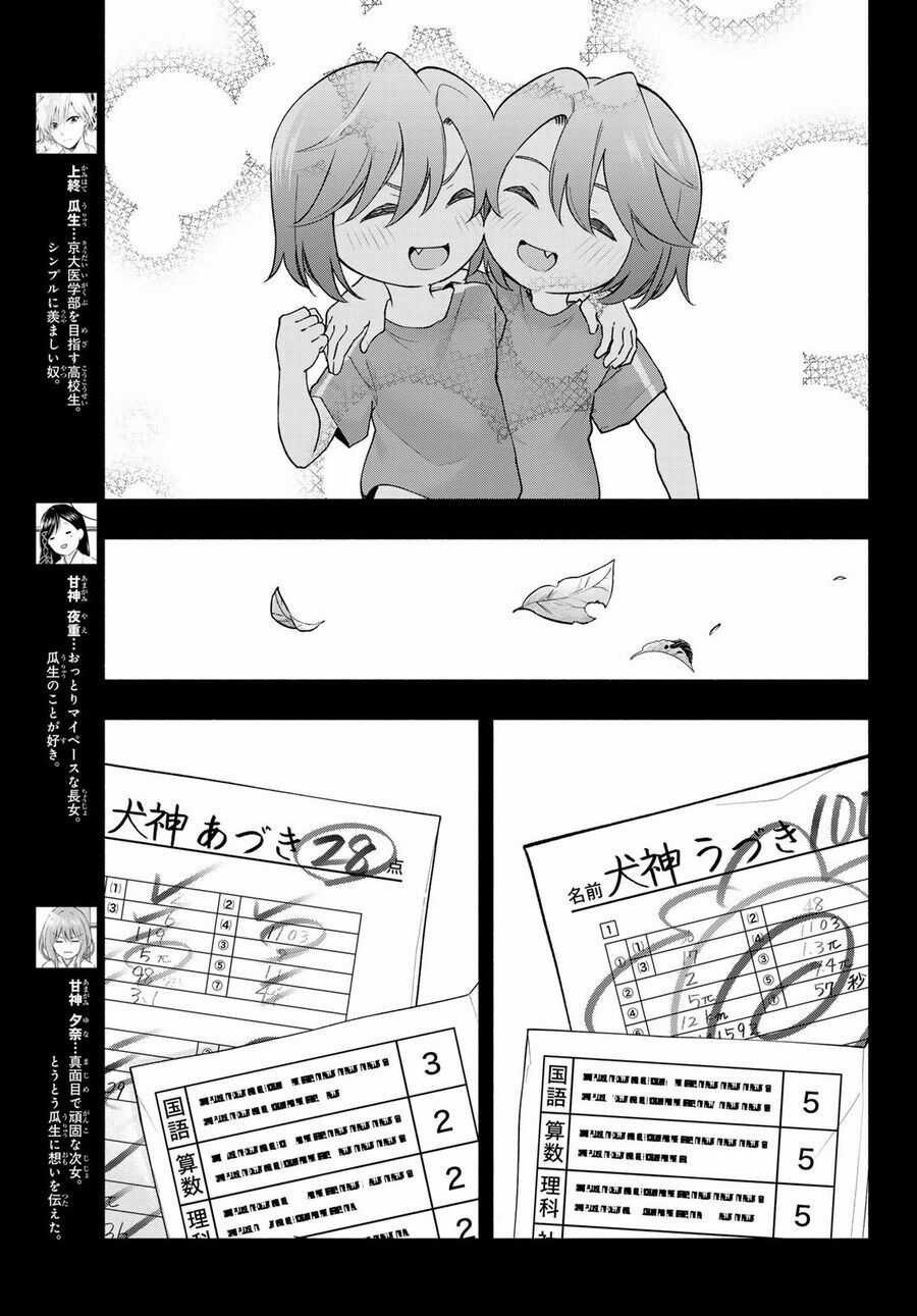 Amagami-San Chi No Enmusubi! Chương 175 trang 4