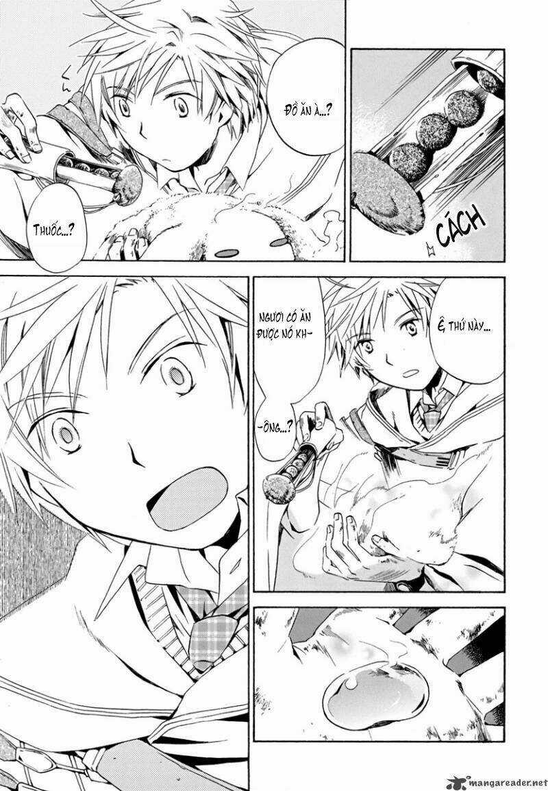 Amagoi Chapter 4 trang 16