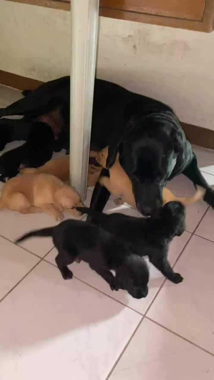 Ame To Kimi No Mukou Chapter 12 trang 19