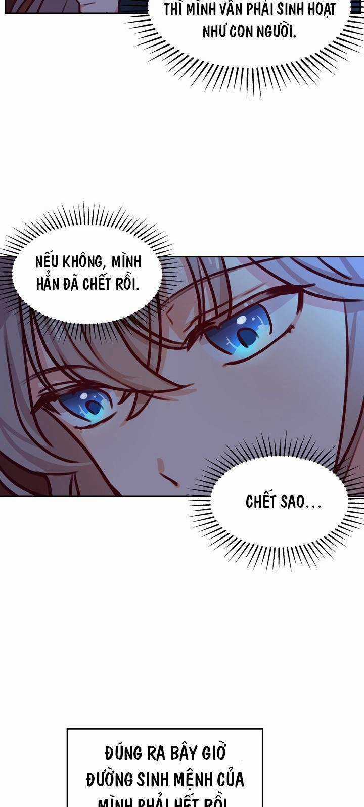 Amina - Nữ Thần Đèn Chapter 7 trang 15