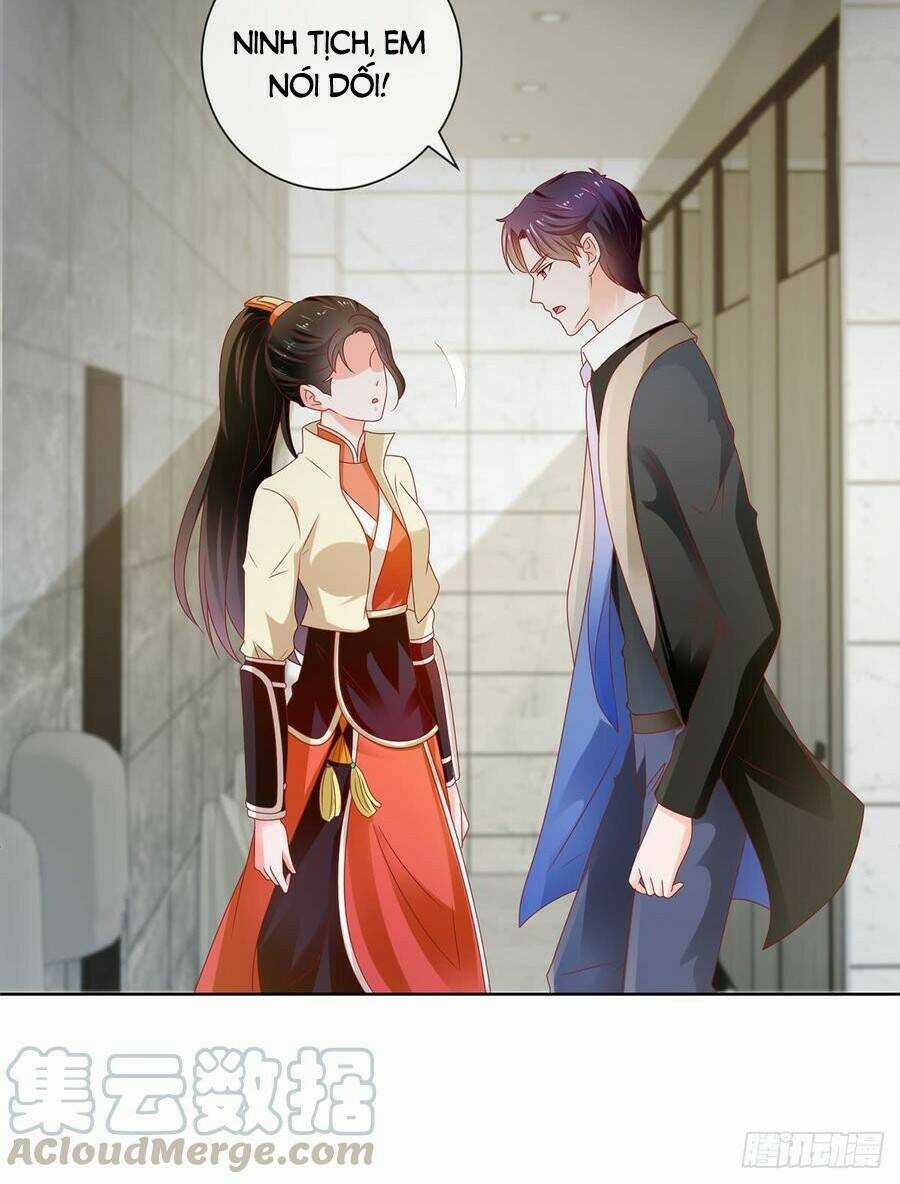 Ẩn Hôn 100%: Chọc Tức Vợ Yêu Mua Một Tặng Một Chapter 115 trang 13