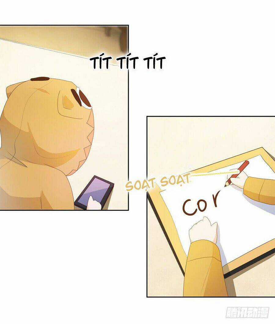 Ẩn Hôn 100%: Chọc Tức Vợ Yêu Mua Một Tặng Một Chapter 12 trang 13