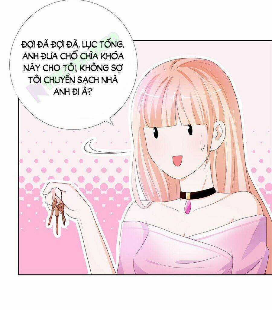 Ẩn Hôn 100%: Chọc Tức Vợ Yêu Mua Một Tặng Một Chapter 13 trang 24