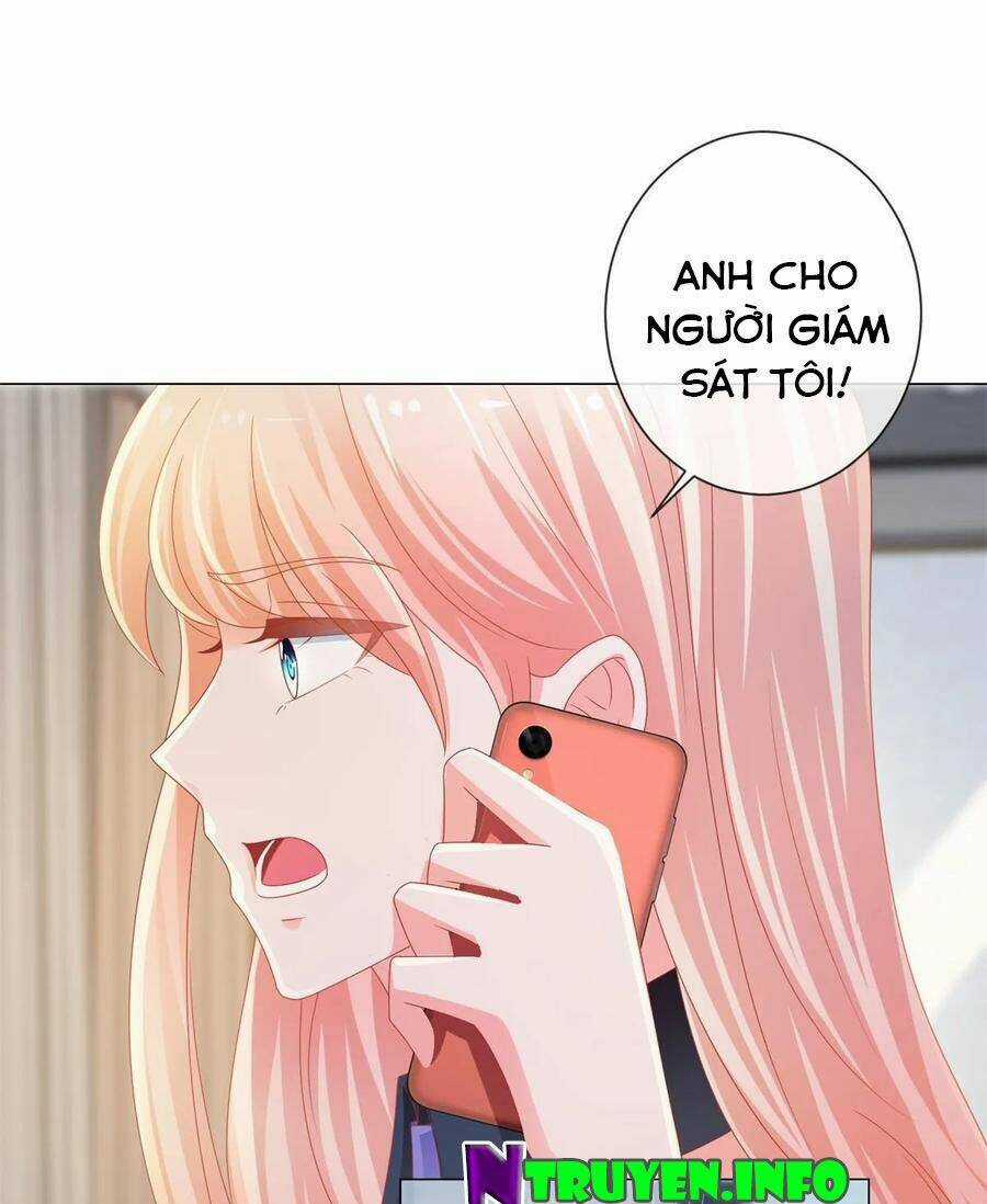 Ẩn Hôn 100%: Chọc Tức Vợ Yêu Mua Một Tặng Một Chapter 135 trang 17