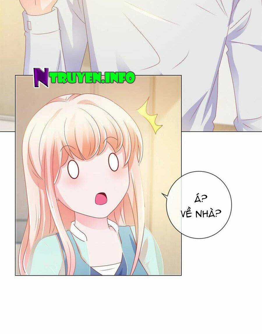 Ẩn Hôn 100%: Chọc Tức Vợ Yêu Mua Một Tặng Một Chapter 146 trang 24