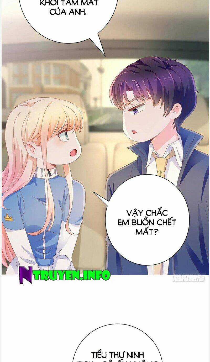 Ẩn Hôn 100%: Chọc Tức Vợ Yêu Mua Một Tặng Một Chapter 152 trang 6