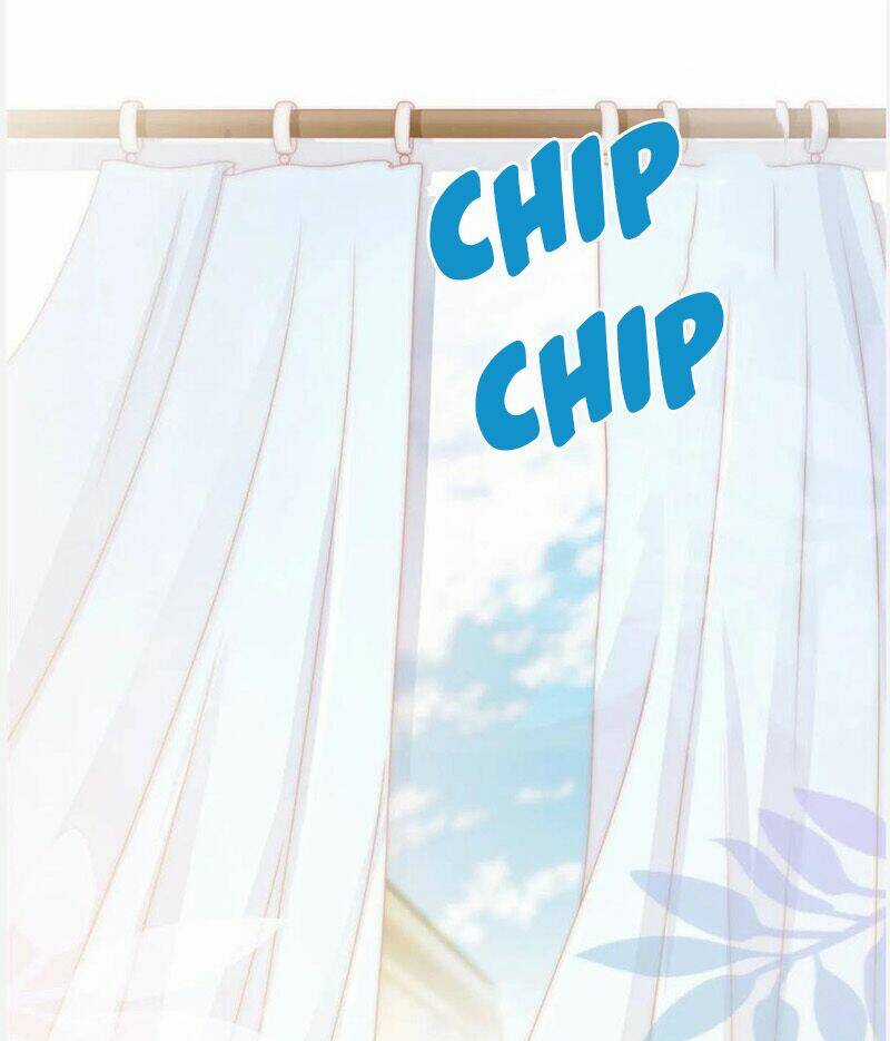 Ẩn Hôn 100%: Chọc Tức Vợ Yêu Mua Một Tặng Một Chapter 153 trang 29