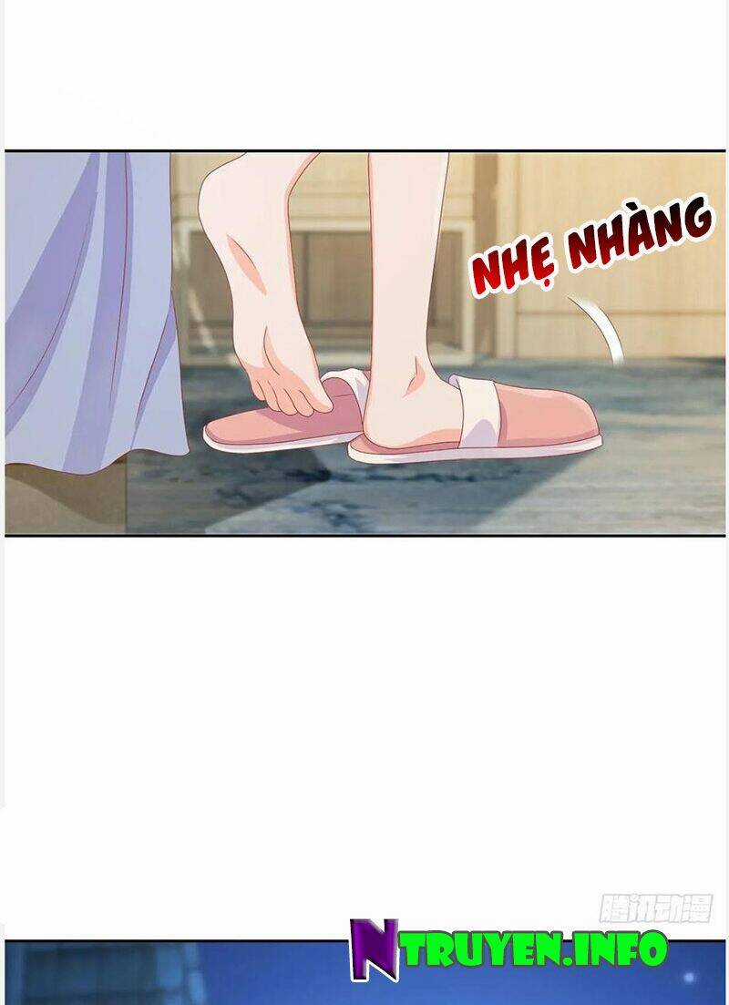 Ẩn Hôn 100%: Chọc Tức Vợ Yêu Mua Một Tặng Một Chapter 155 trang 23