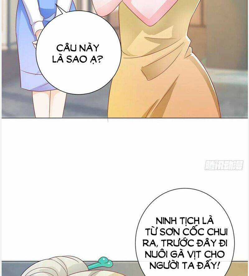 Ẩn Hôn 100%: Chọc Tức Vợ Yêu Mua Một Tặng Một Chapter 158 trang 24