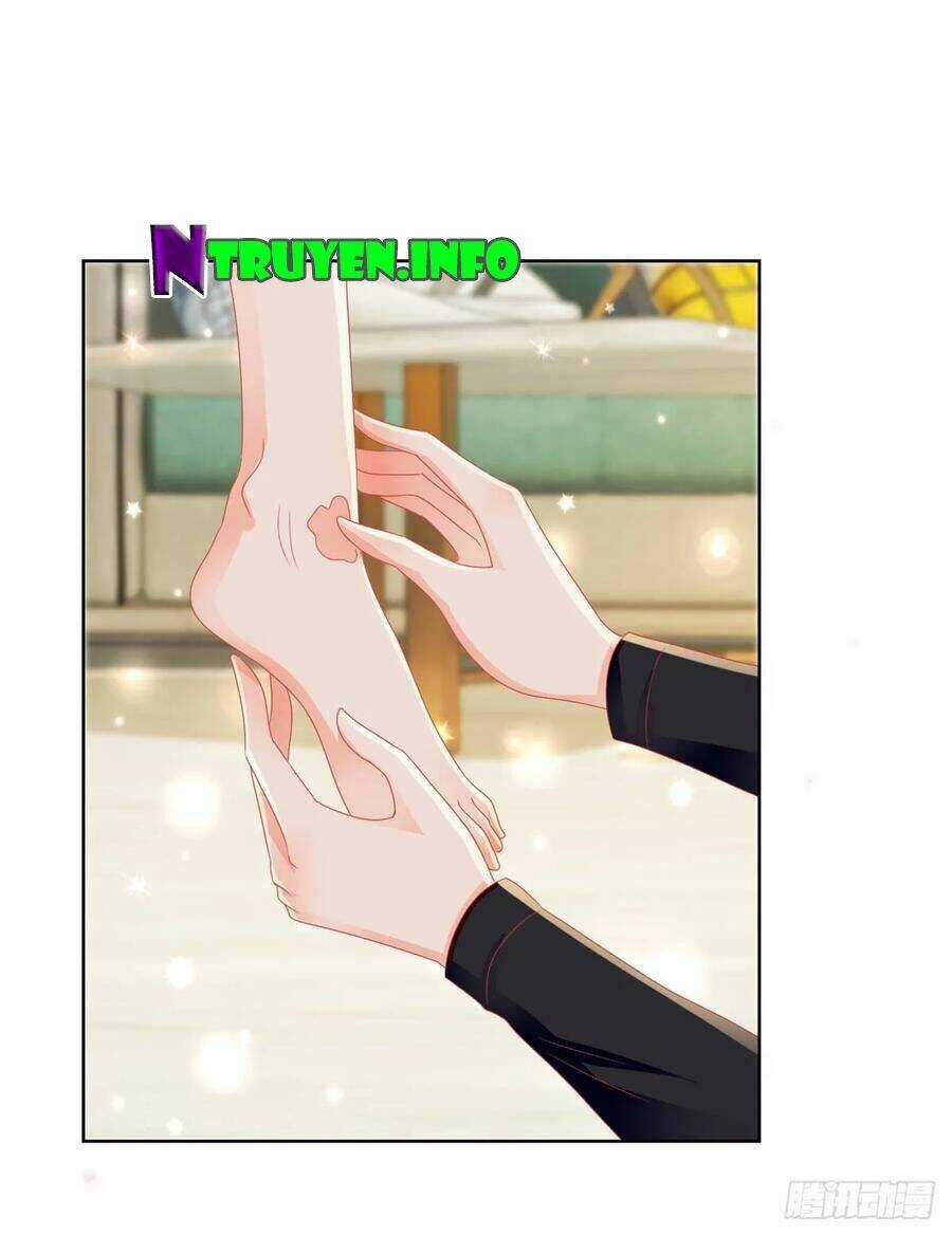 Ẩn Hôn 100%: Chọc Tức Vợ Yêu Mua Một Tặng Một Chapter 169 trang 10