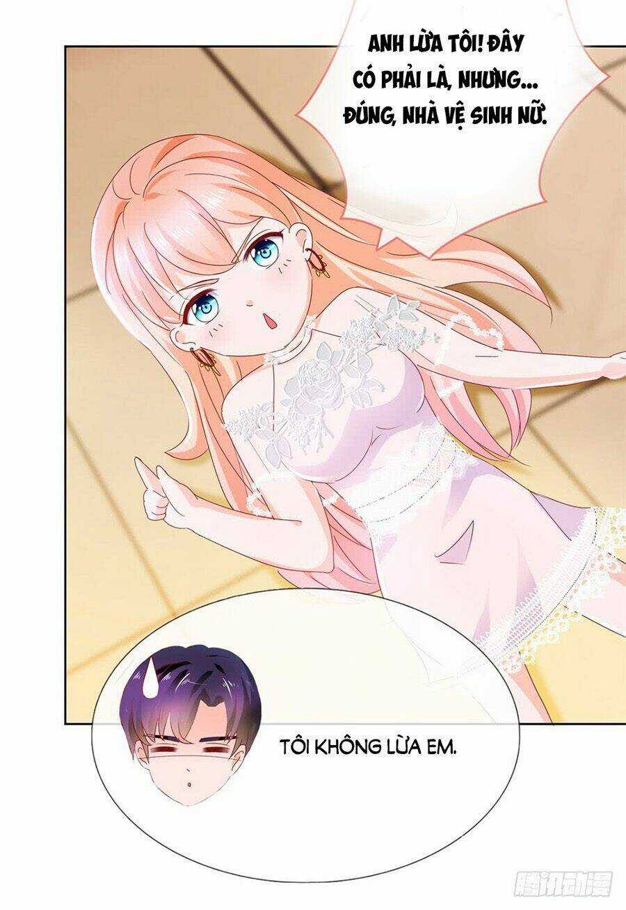 Ẩn Hôn 100%: Chọc Tức Vợ Yêu Mua Một Tặng Một Chapter 17 trang 11