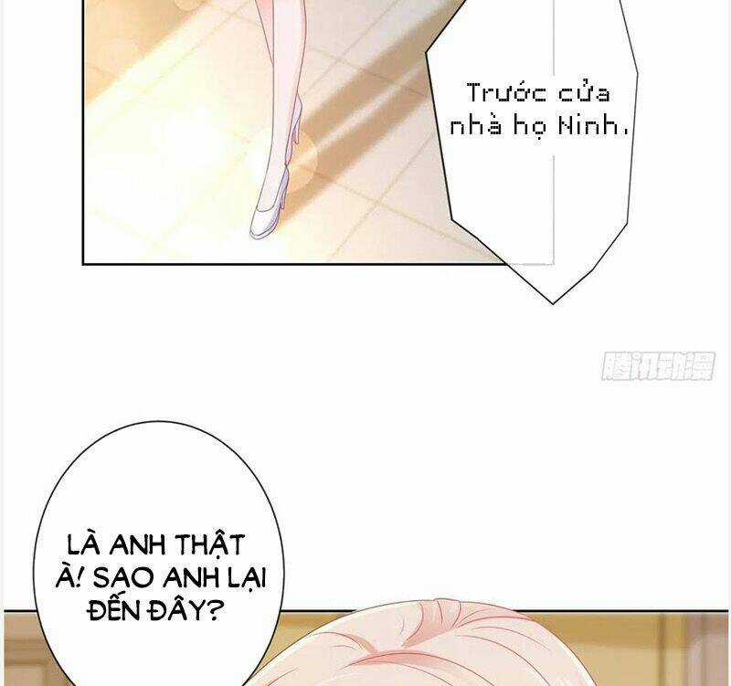 Ẩn Hôn 100%: Chọc Tức Vợ Yêu Mua Một Tặng Một Chapter 173 trang 24