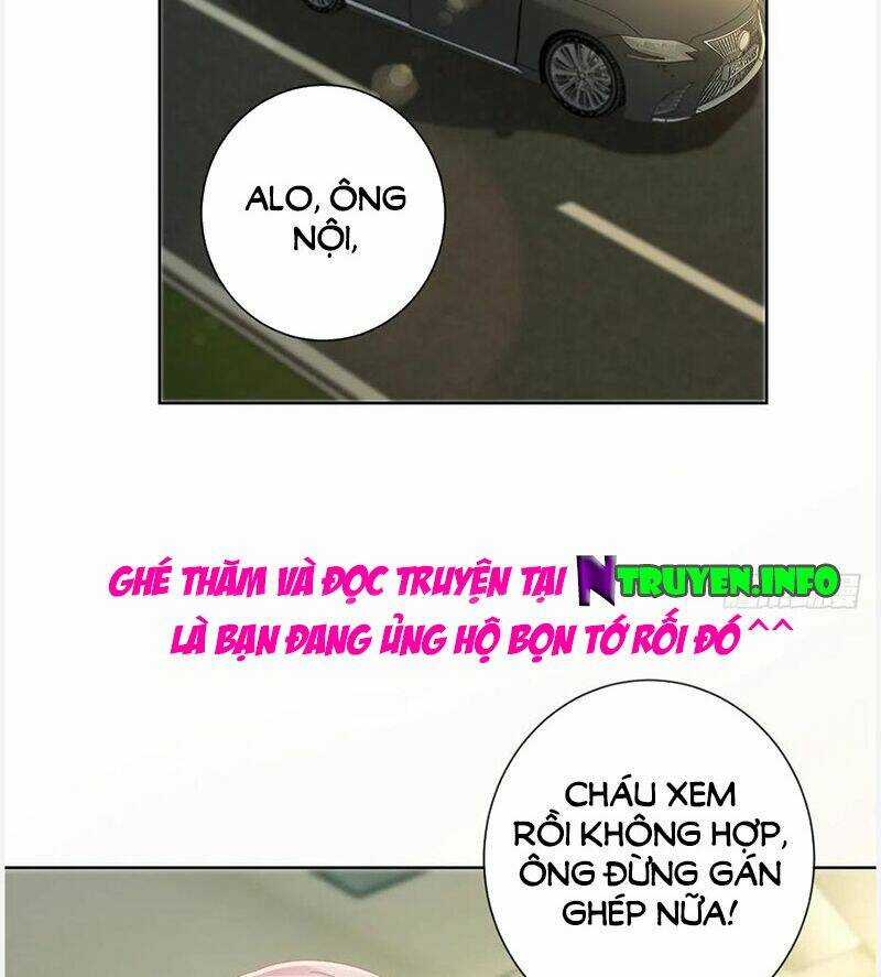 Ẩn Hôn 100%: Chọc Tức Vợ Yêu Mua Một Tặng Một Chapter 175 trang 30