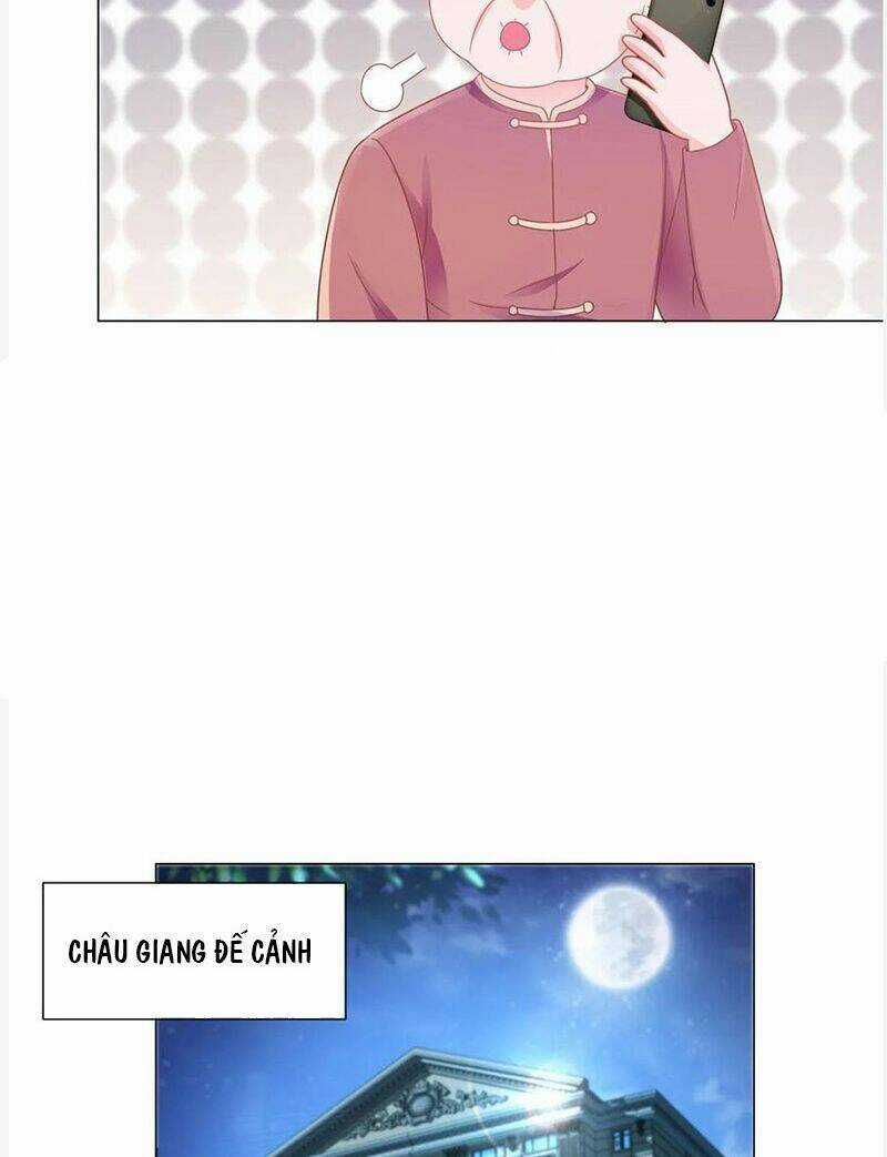 Ẩn Hôn 100%: Chọc Tức Vợ Yêu Mua Một Tặng Một Chapter 176 trang 4