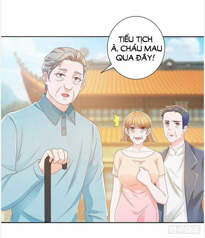 Ẩn Hôn 100%: Chọc Tức Vợ Yêu Mua Một Tặng Một Chapter 177 trang 12