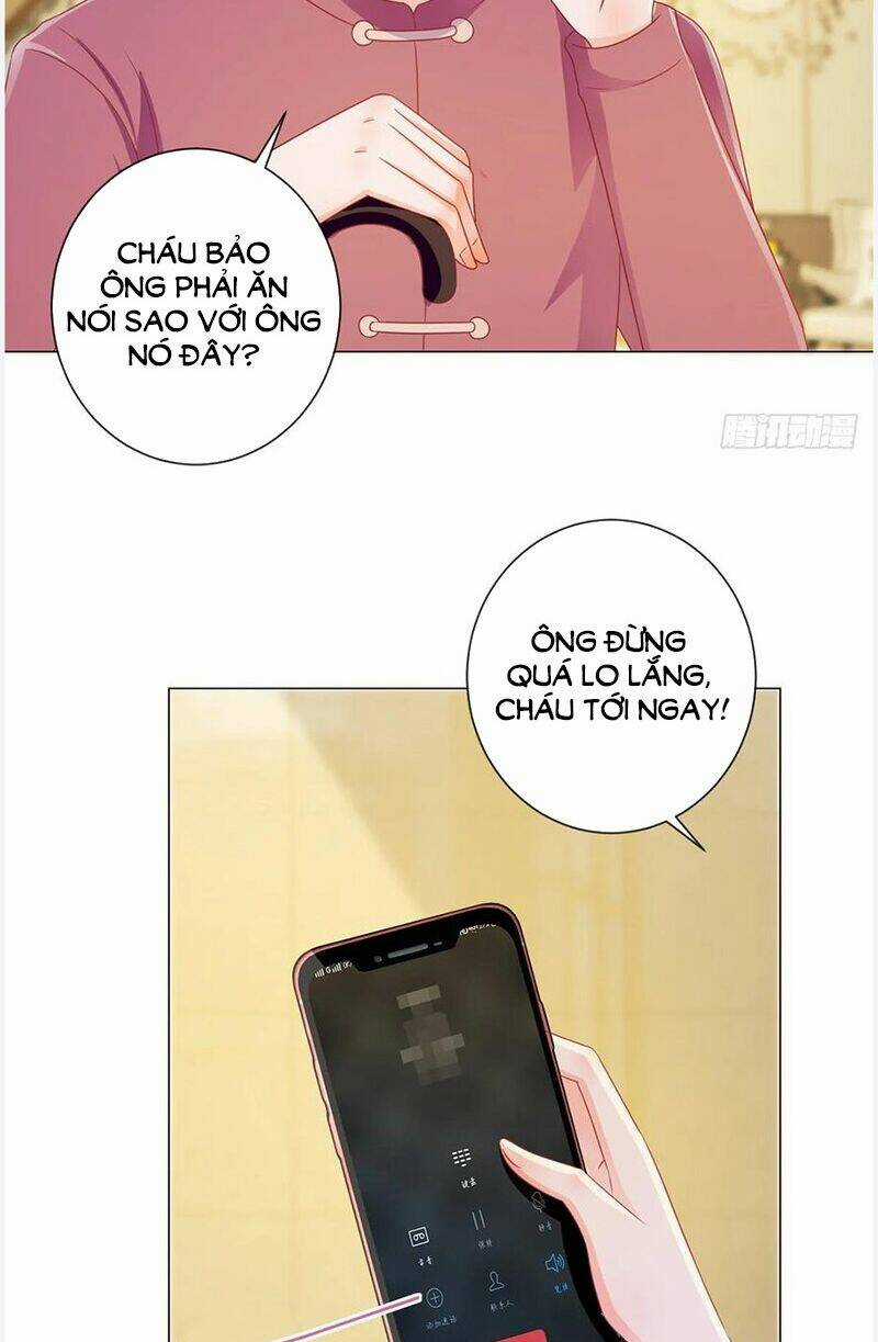 Ẩn Hôn 100%: Chọc Tức Vợ Yêu Mua Một Tặng Một Chapter 177 trang 2