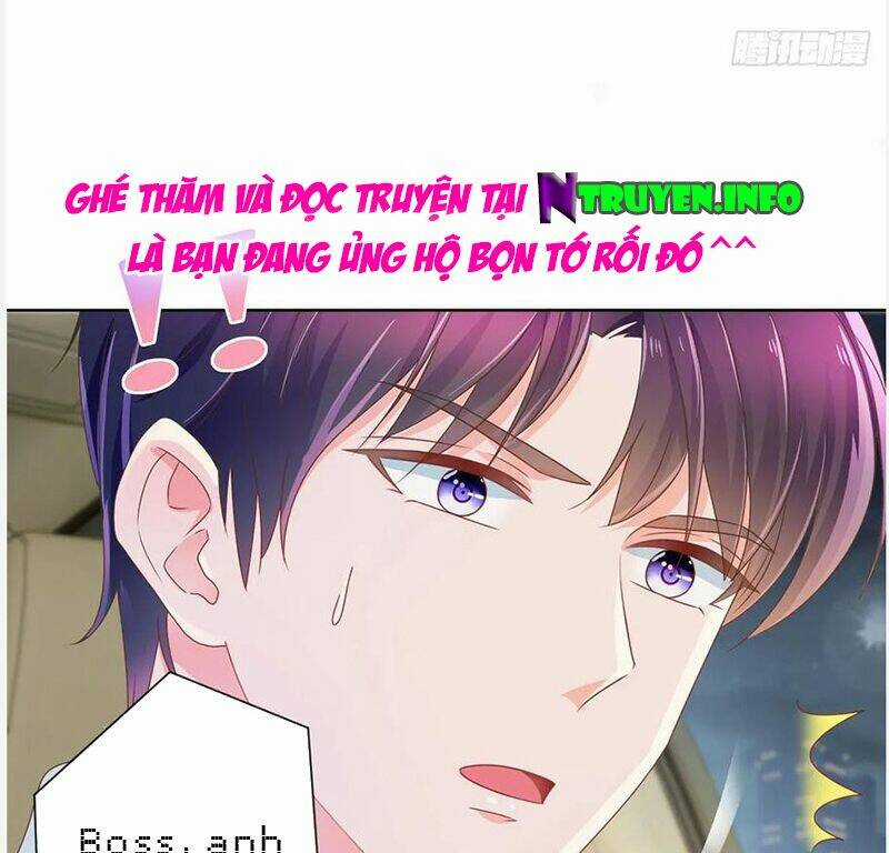 Ẩn Hôn 100%: Chọc Tức Vợ Yêu Mua Một Tặng Một Chapter 179 trang 5