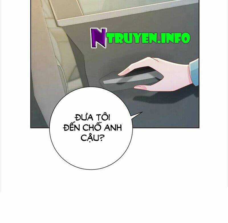 Ẩn Hôn 100%: Chọc Tức Vợ Yêu Mua Một Tặng Một Chapter 180 trang 13