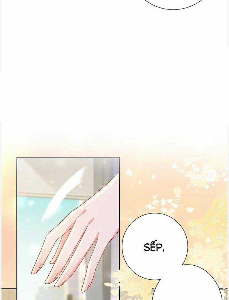 Ẩn Hôn 100%: Chọc Tức Vợ Yêu Mua Một Tặng Một Chapter 180 trang 32