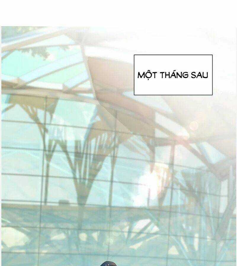 Ẩn Hôn 100%: Chọc Tức Vợ Yêu Mua Một Tặng Một Chapter 180 trang 5