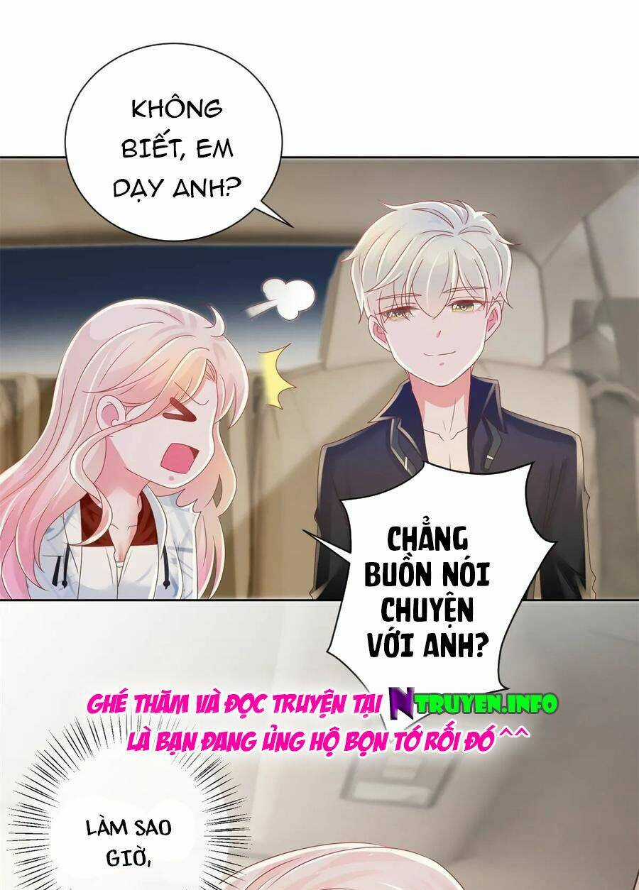 Ẩn Hôn 100%: Chọc Tức Vợ Yêu Mua Một Tặng Một Chapter 187 trang 24