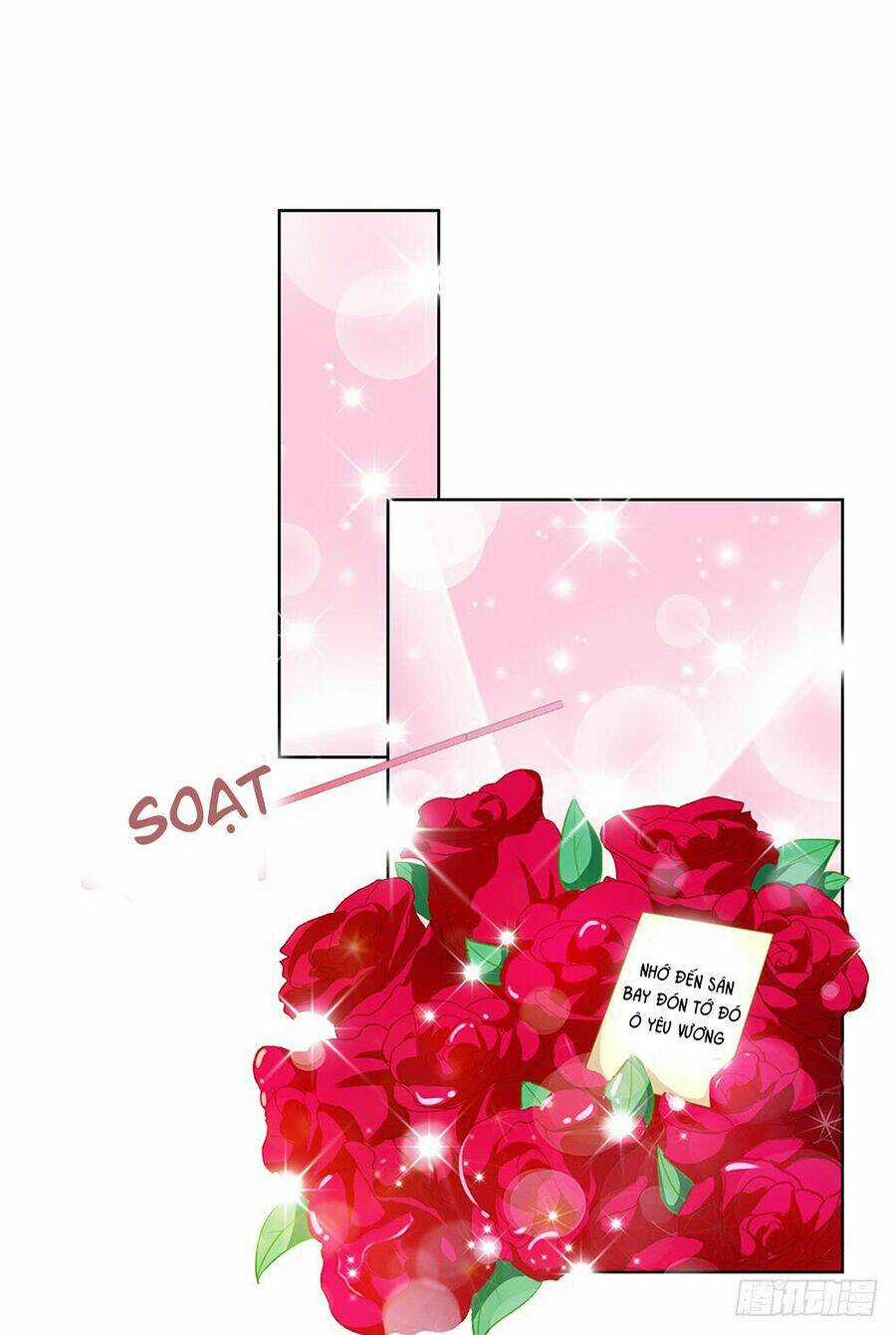 Ẩn Hôn 100%: Chọc Tức Vợ Yêu Mua Một Tặng Một Chapter 20 trang 24