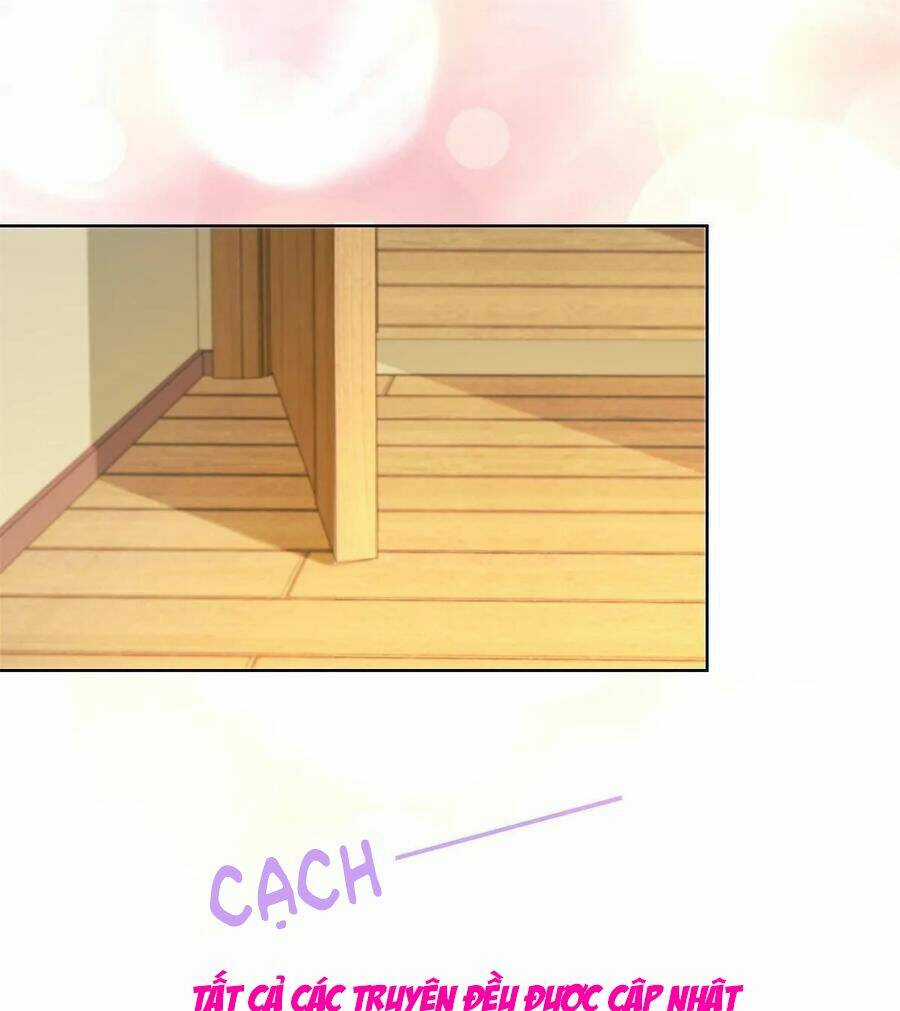 Ẩn Hôn 100%: Chọc Tức Vợ Yêu Mua Một Tặng Một Chapter 204 trang 24