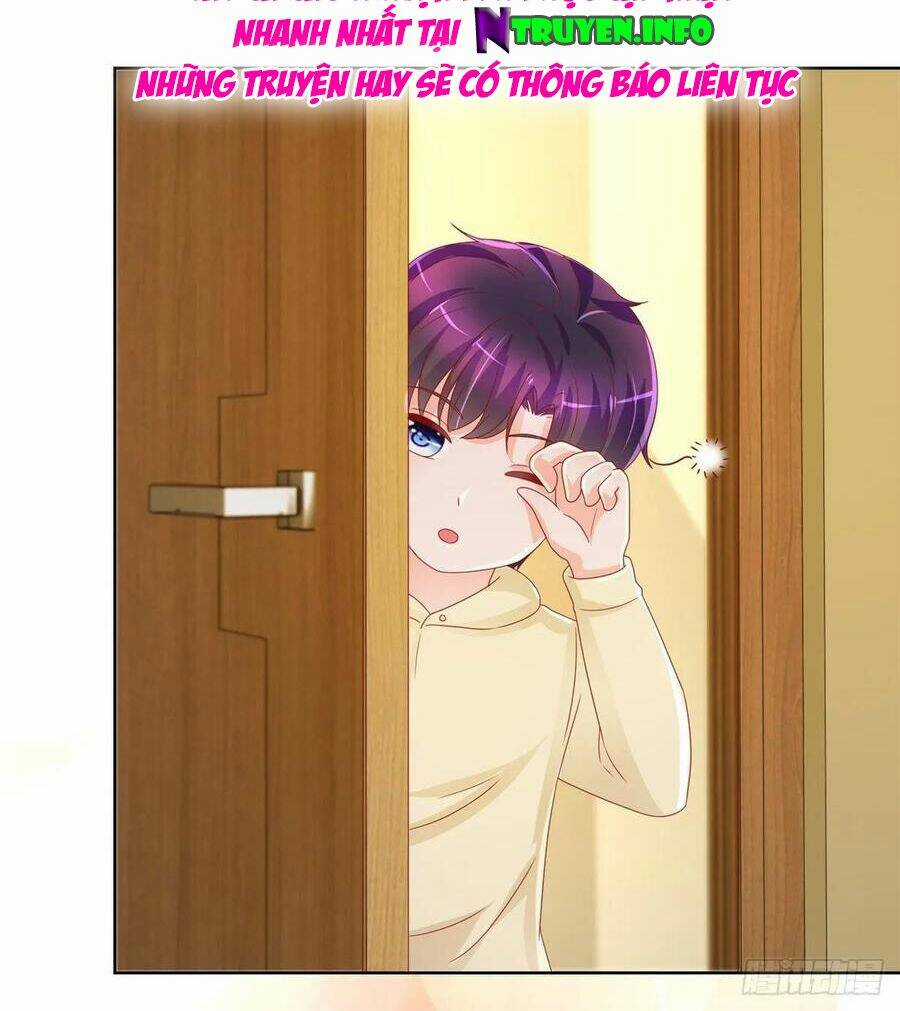 Ẩn Hôn 100%: Chọc Tức Vợ Yêu Mua Một Tặng Một Chapter 204 trang 25