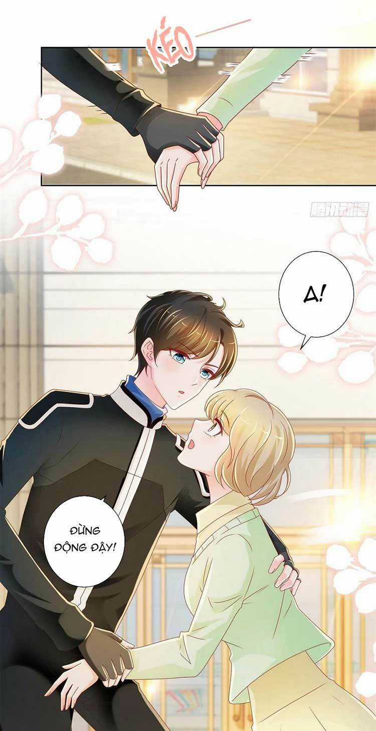 Ẩn Hôn 100%: Chọc Tức Vợ Yêu Mua Một Tặng Một Chapter 221 trang 5