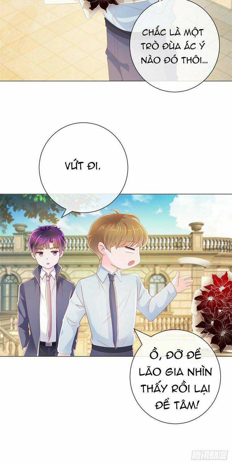 Ẩn Hôn 100%: Chọc Tức Vợ Yêu Mua Một Tặng Một Chapter 228 trang 4