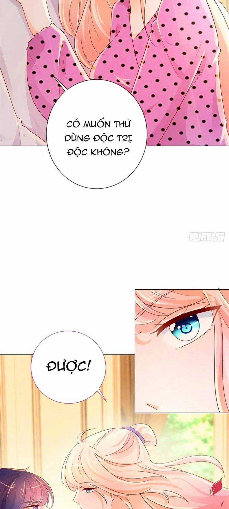 Ẩn Hôn 100%: Chọc Tức Vợ Yêu Mua Một Tặng Một Chapter 244 trang 5