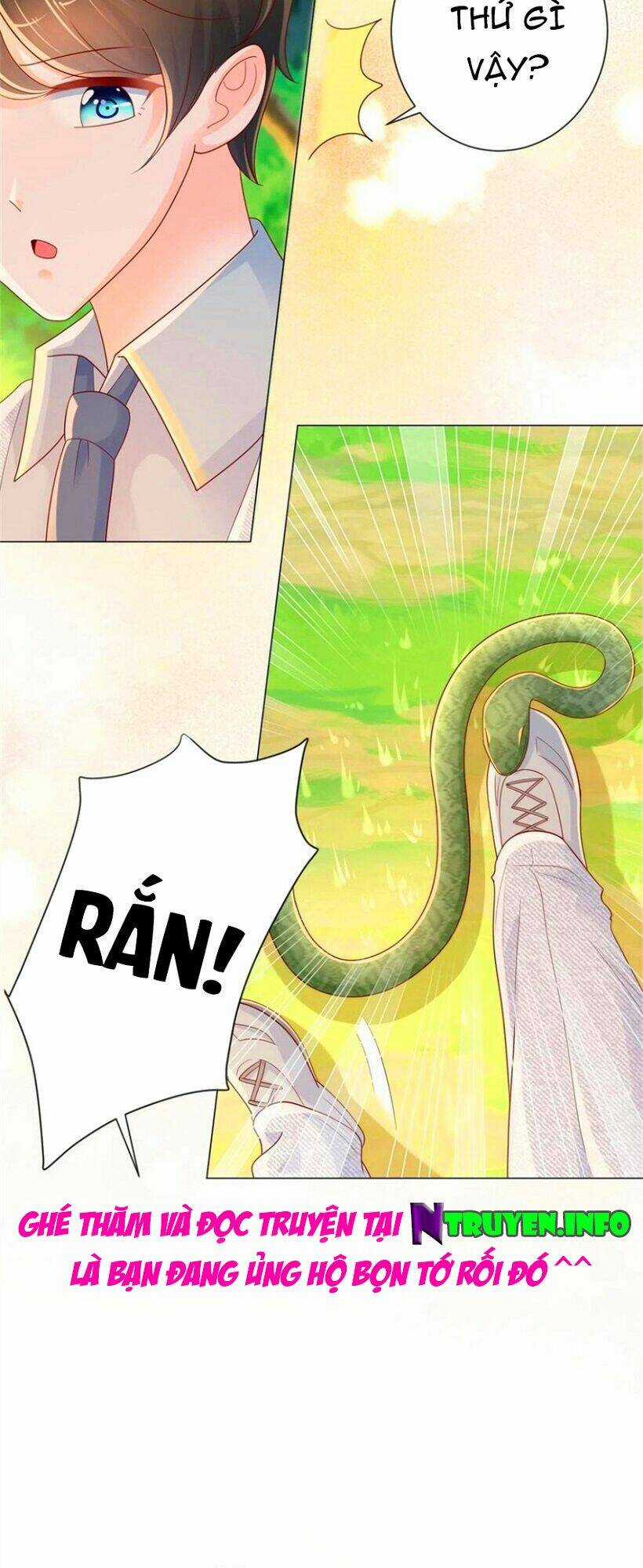 Ẩn Hôn 100%: Chọc Tức Vợ Yêu Mua Một Tặng Một Chapter 247 trang 11