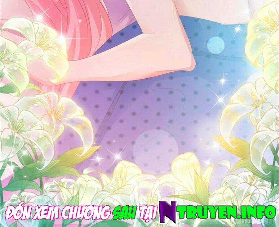 Ẩn Hôn 100%: Chọc Tức Vợ Yêu Mua Một Tặng Một Chapter 253 trang 25