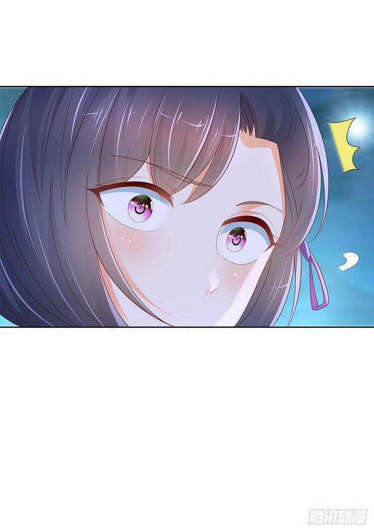 Ẩn Hôn 100%: Chọc Tức Vợ Yêu Mua Một Tặng Một Chapter 259.1 trang 5