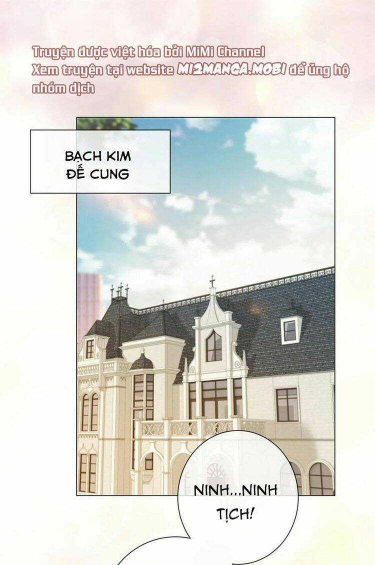 Ẩn Hôn 100%: Chọc Tức Vợ Yêu Mua Một Tặng Một Chapter 260.1 trang 0