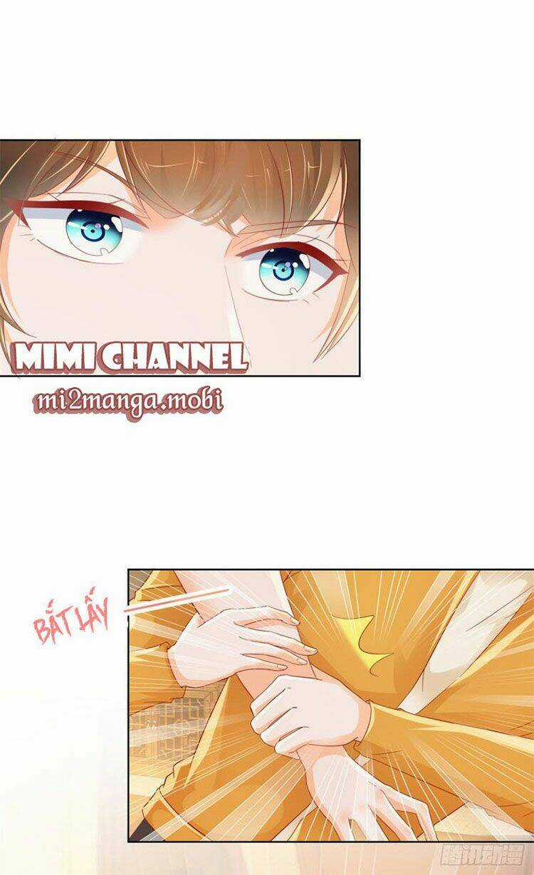 Ẩn Hôn 100%: Chọc Tức Vợ Yêu Mua Một Tặng Một Chapter 262.1 trang 4