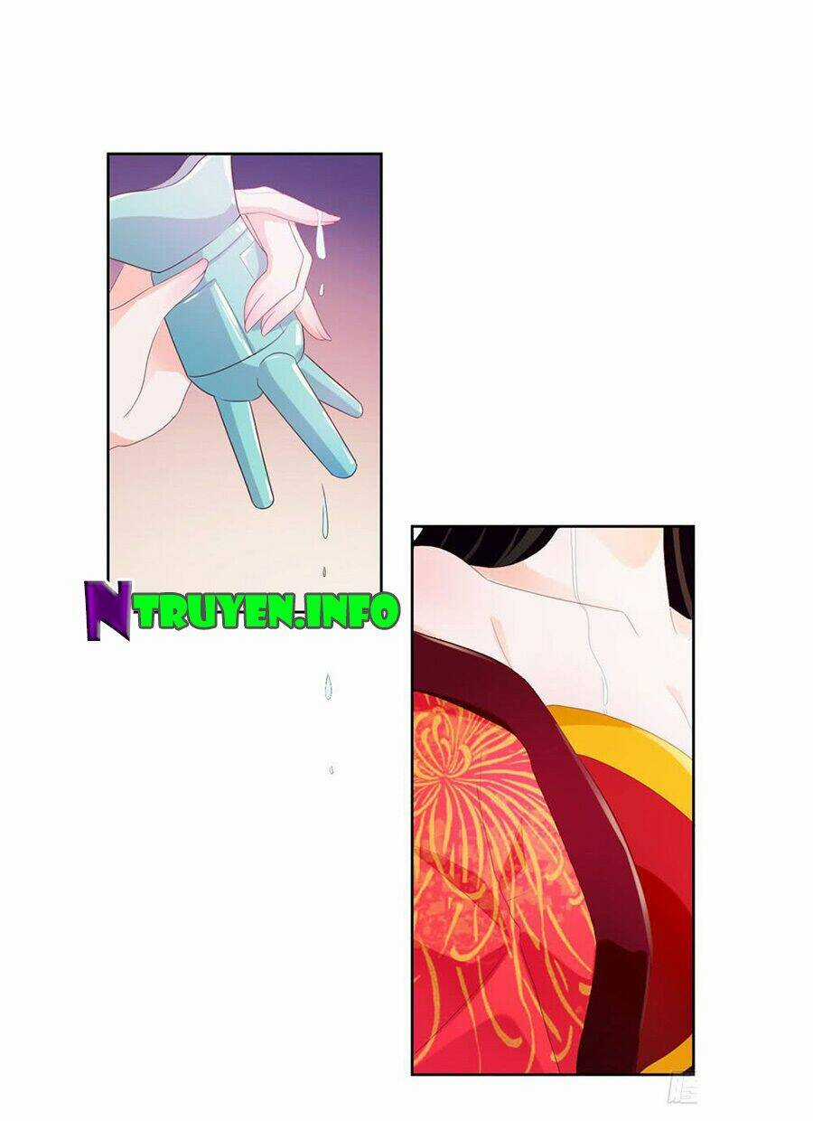 Ẩn Hôn 100%: Chọc Tức Vợ Yêu Mua Một Tặng Một Chapter 27 trang 4