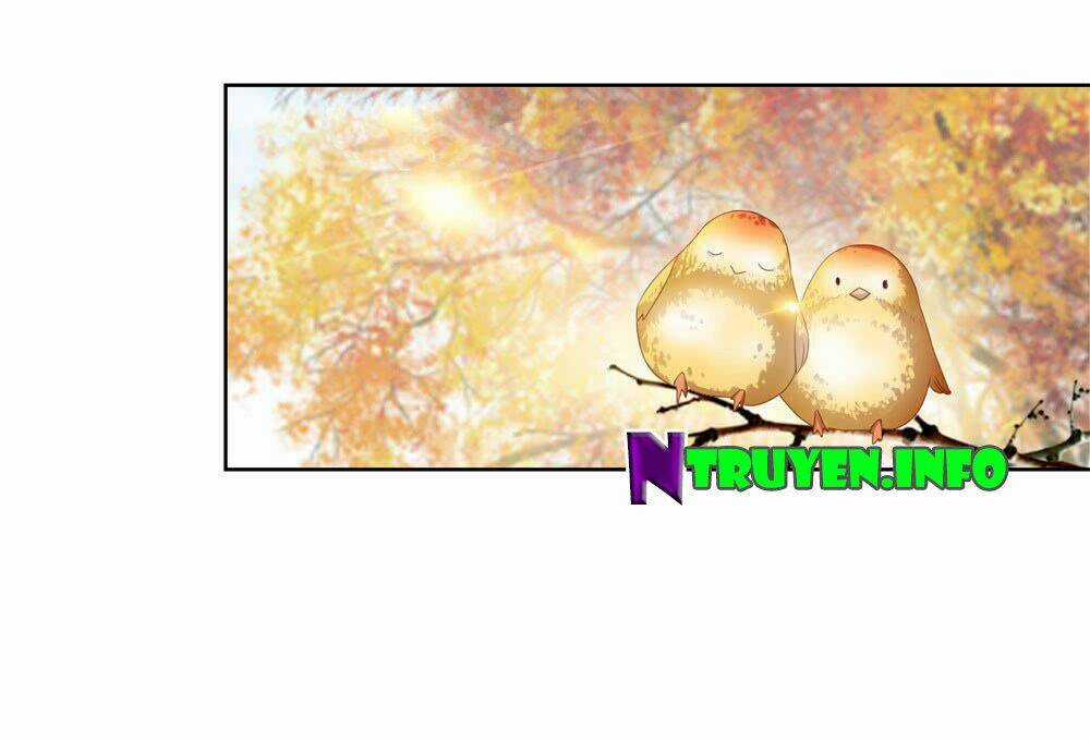 Ẩn Hôn 100%: Chọc Tức Vợ Yêu Mua Một Tặng Một Chapter 29 trang 14