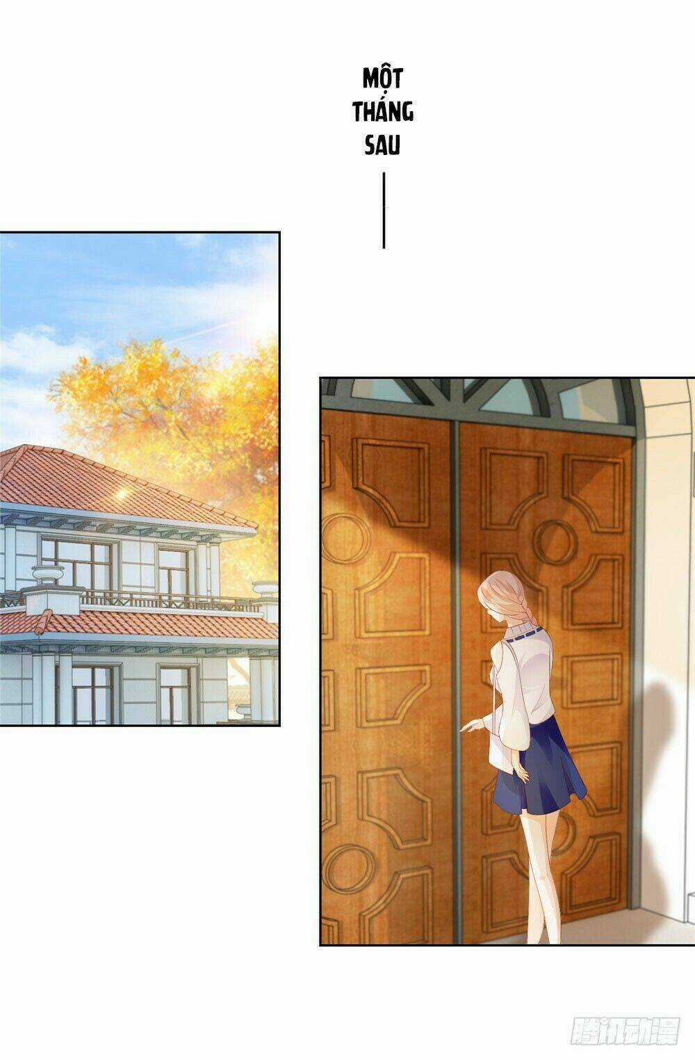 Ẩn Hôn 100%: Chọc Tức Vợ Yêu Mua Một Tặng Một Chapter 29 trang 15